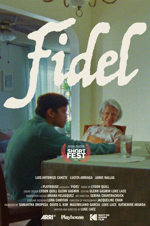 Fidel постер