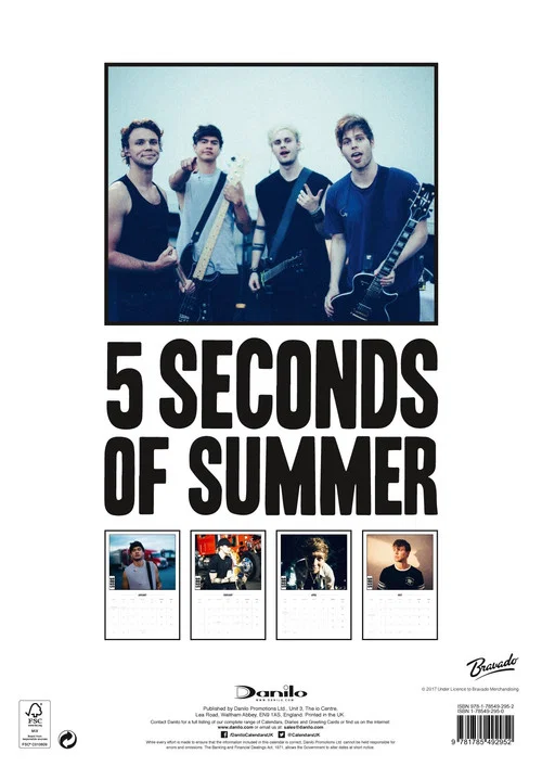 5 Seconds of Summer - Rock in Rio Ao Vivo постер