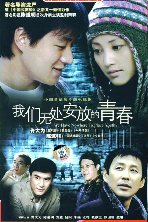 我们无处安放的青春 постер