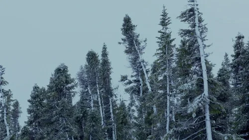 Эпизод 8