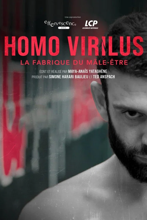 Homo virilus : la fabrique du mâle-être постер