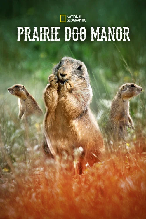 Prairie Dog Manor постер
