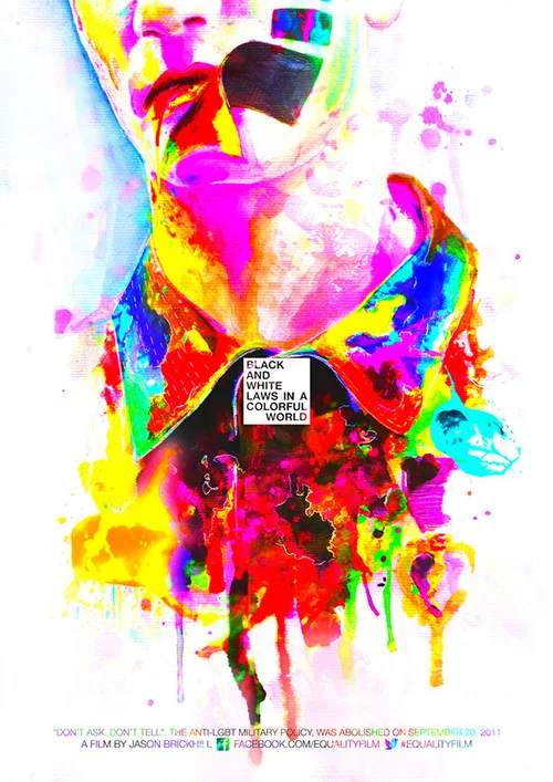 Black and White Laws in a Colorful World постер