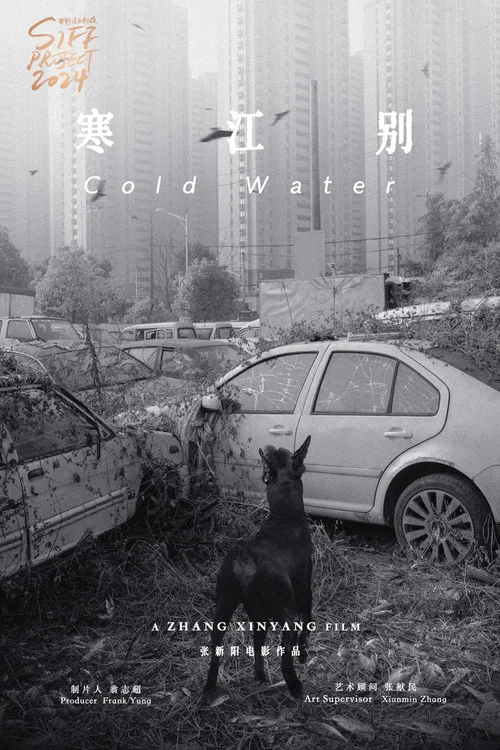 伤寒杂病论 постер
