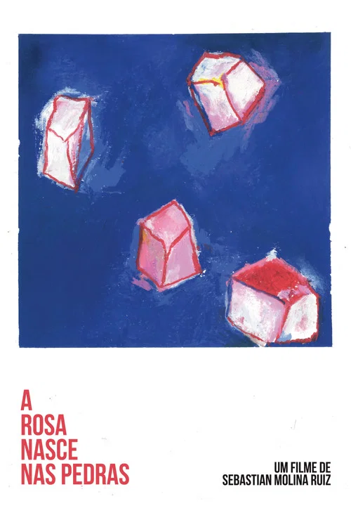 A Rosa Nasce Nas Pedras постер