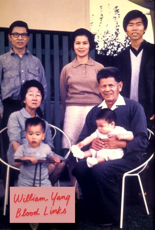 William Yang Blood Links постер