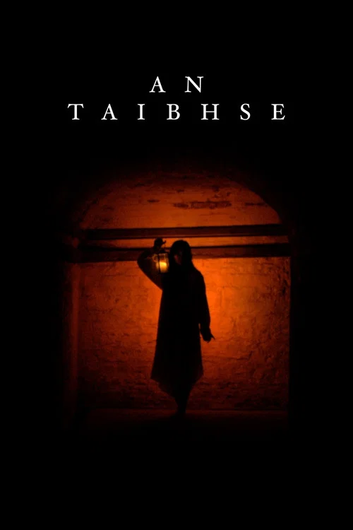 An Taibhse постер