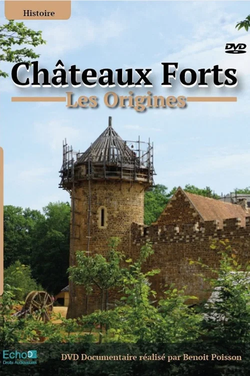 Châteaux-forts : Les origines постер