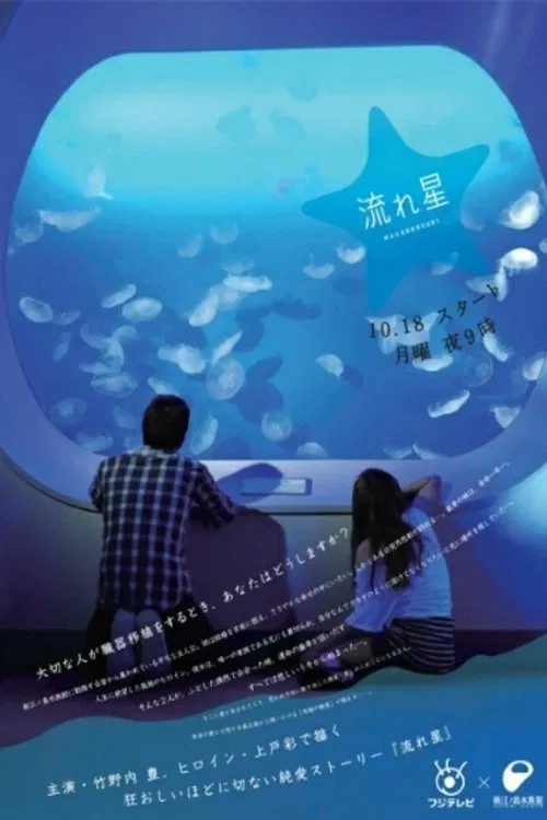 流れ星 постер