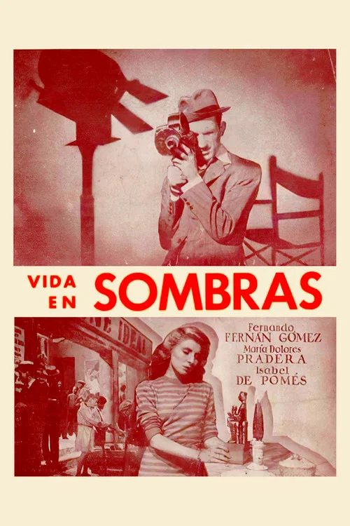 Vida en sombras постер