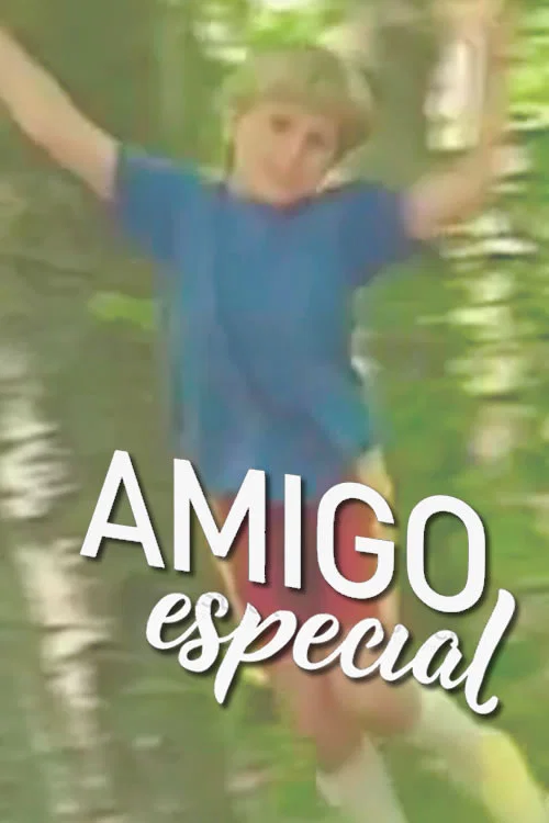 Amigo Especial постер