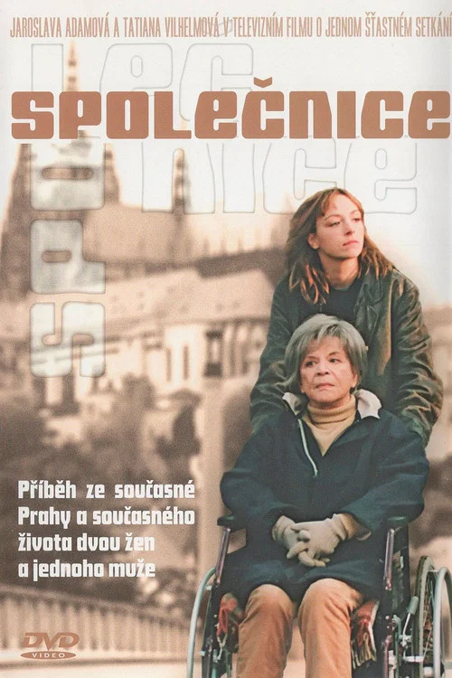 Společnice постер