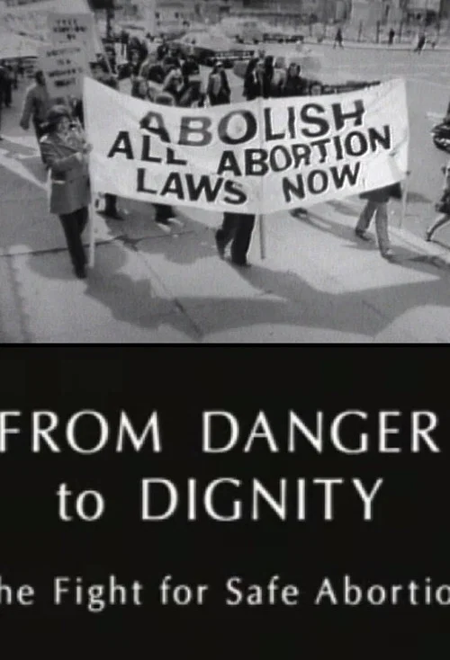 From Danger to Dignity: The Fight For Safe Abortion постер