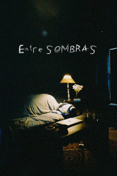 Entre sombras постер