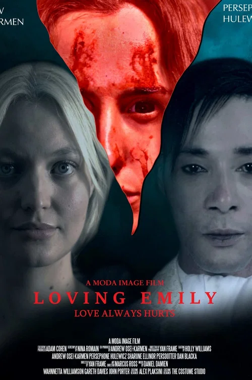 Loving Emily постер