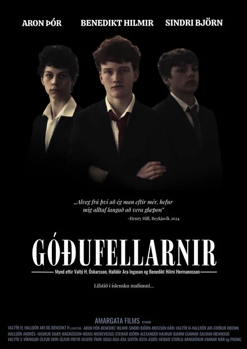 Góðufellarnir постер