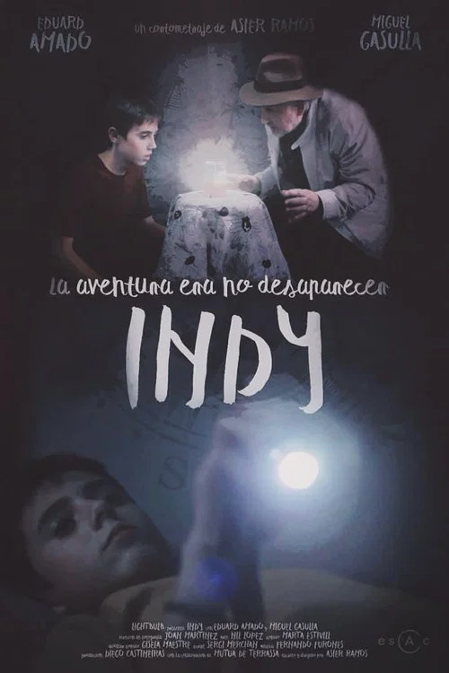 INDY постер