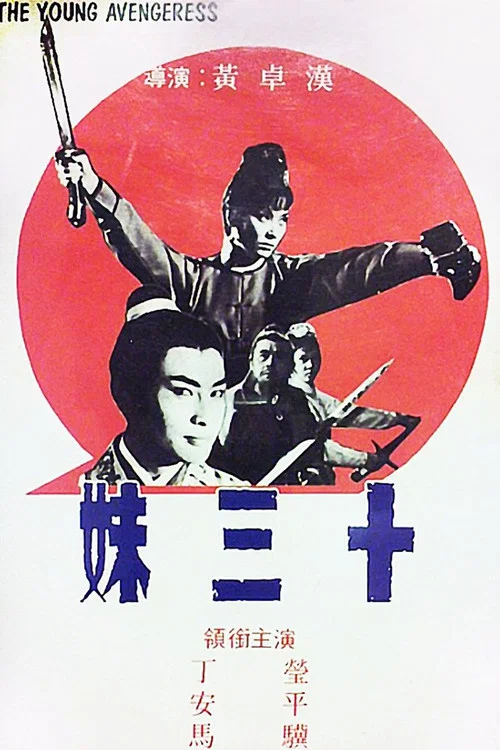 十三妹 постер