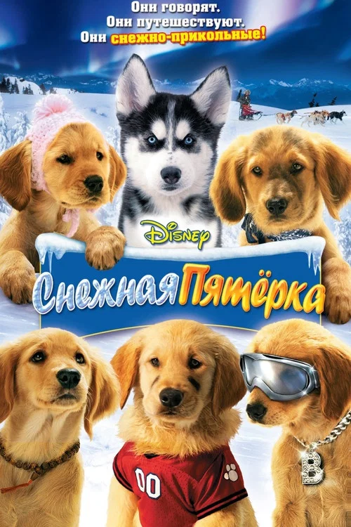 Снежная пятёрка постер