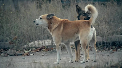 Эпизод 5