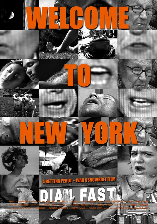 Welcome to New York постер