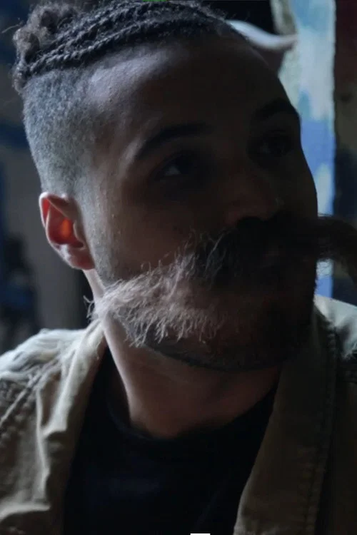 Stash постер
