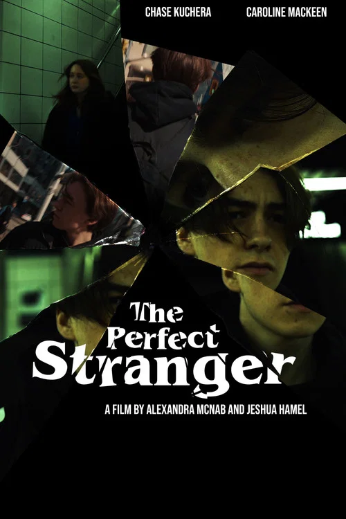 The Perfect Stranger постер