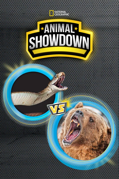 Animal Showdown постер