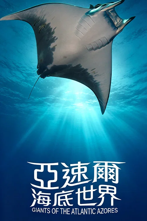 亚速尔海底世界 постер