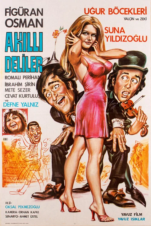 Akıllı Deliler постер