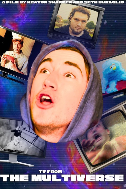 TV From The MULTIVERSE 2! постер