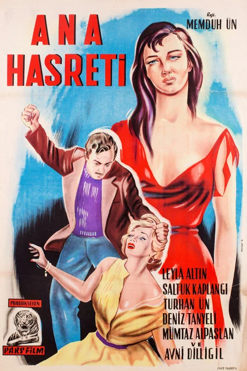 Ana Hasreti постер