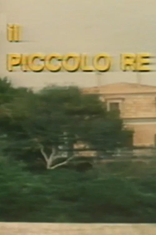 Il piccolo re постер
