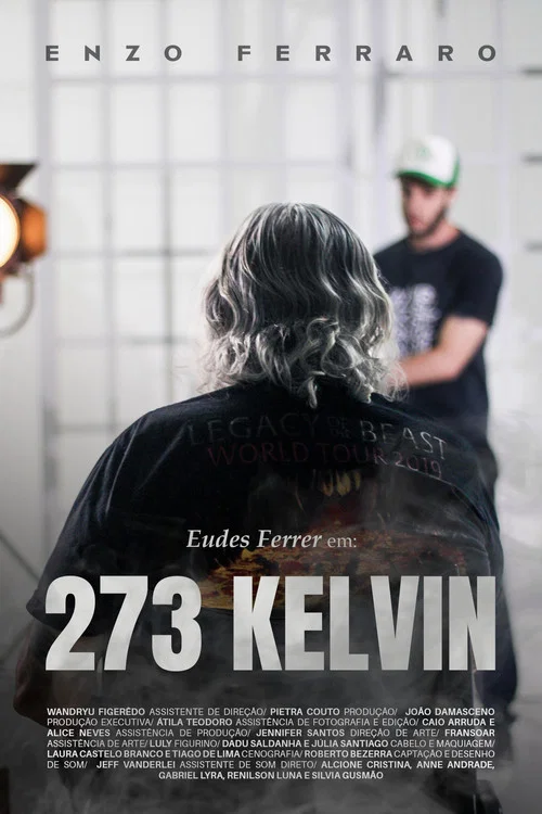 273 KELVIN постер