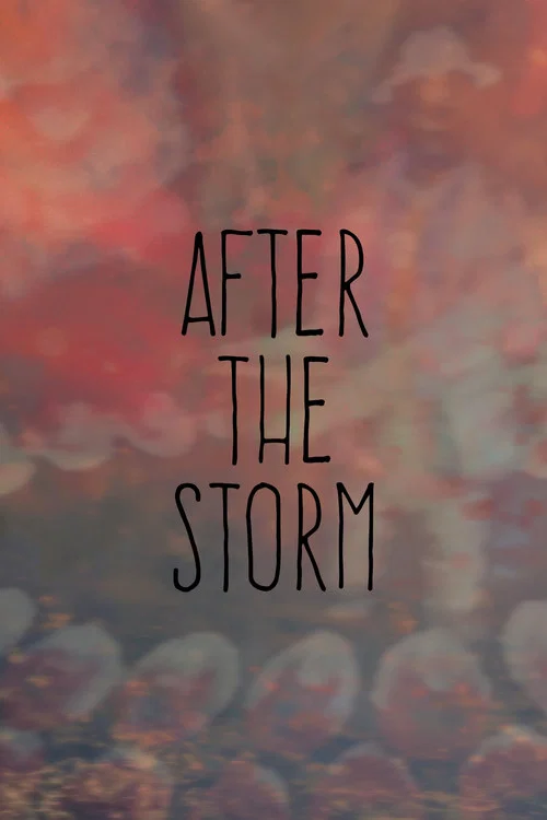 After the Storm постер