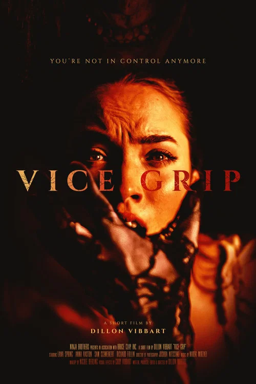 Vice Grip постер