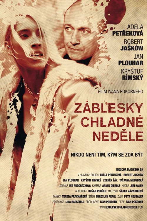 Záblesky chladné neděle постер