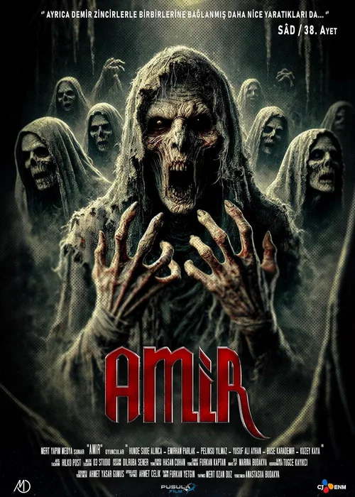 Amir постер