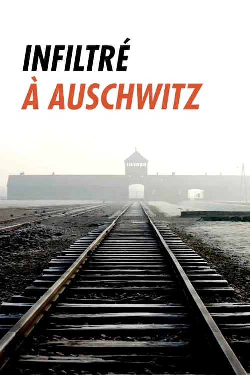 Infiltré à Auschwitz постер