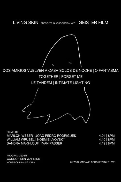 Dos amigos regresan a casa solos de noche постер