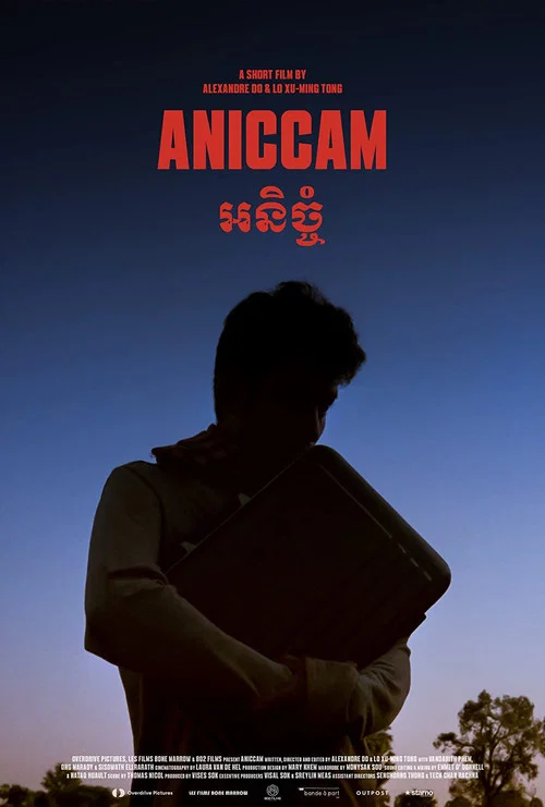 Aniccam постер