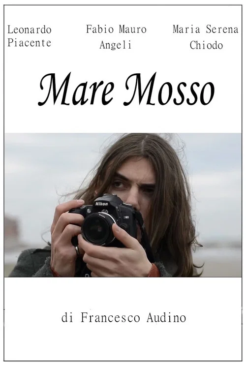Mare mosso постер