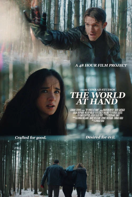 The World at Hand постер