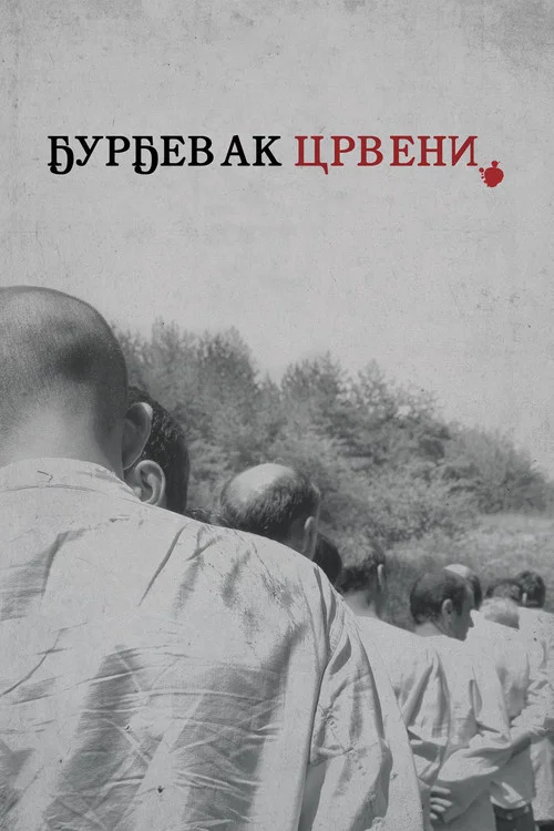 Ђурђевак црвени постер