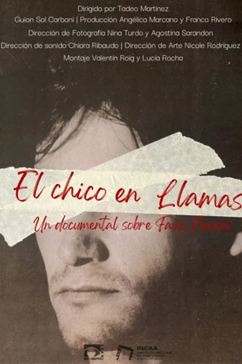 El chico en llamas постер