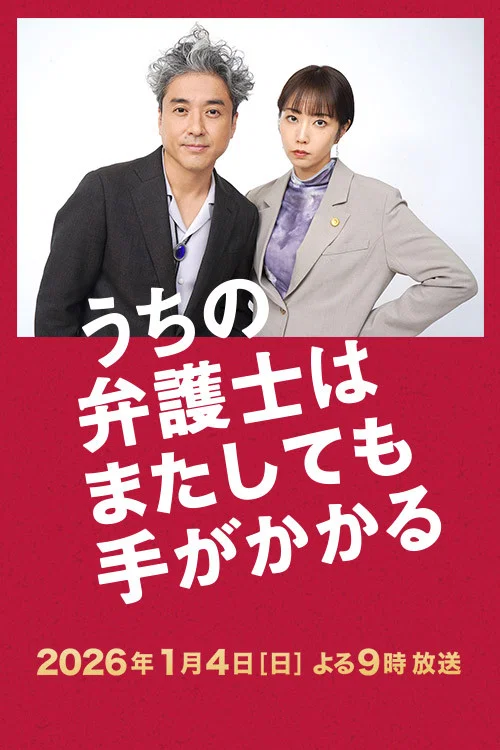 うちの弁護士はまたしても手がかかる постер