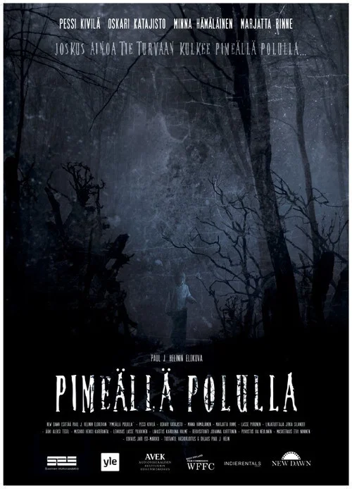 Pimeällä polulla постер