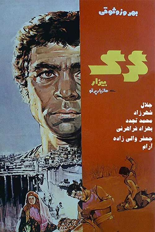 گرگ بیزار постер