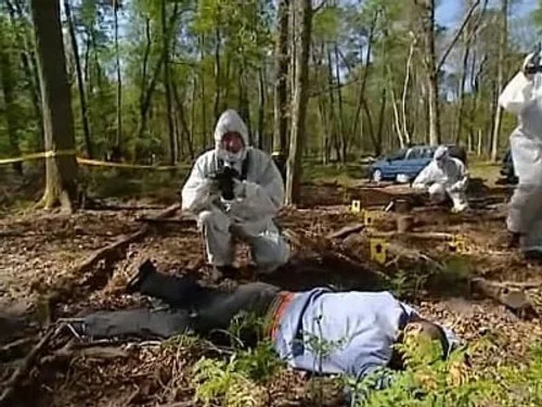 Эпизод 412