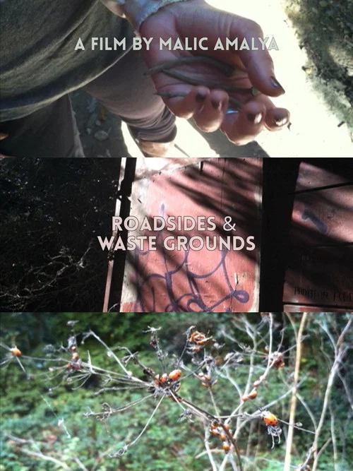 Roadsides and Waste Grounds постер